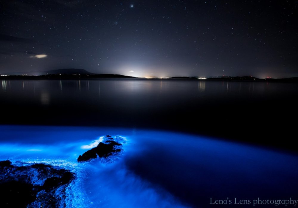 Bioluminiscenční pobřeží, foto: Leena Wisby