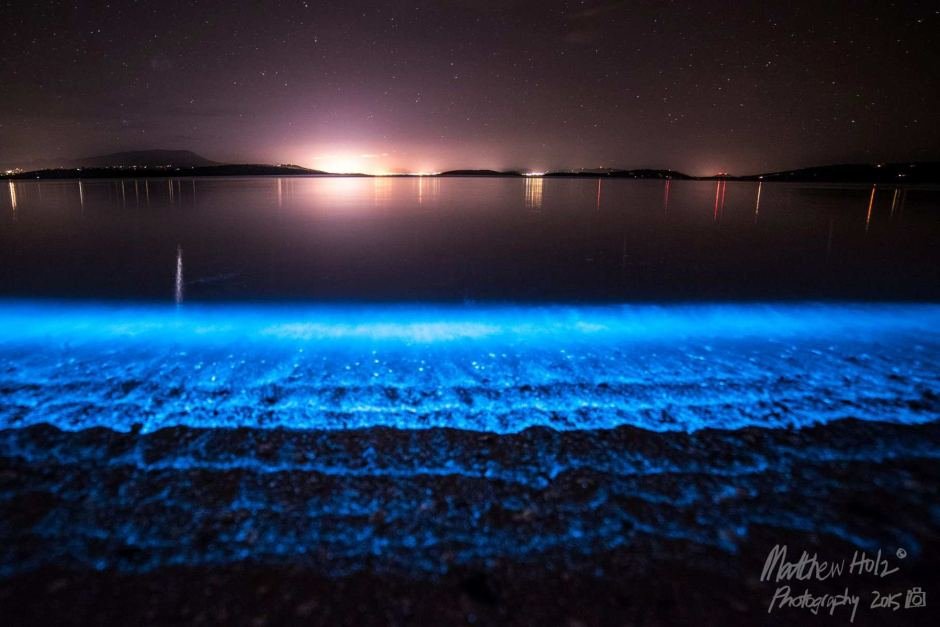 Bioluminiscenční hladina moře, foto: Matthew Holz